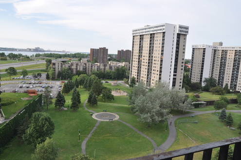 tdsc_0005.jpg