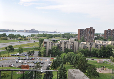 tdsc_0006.jpg