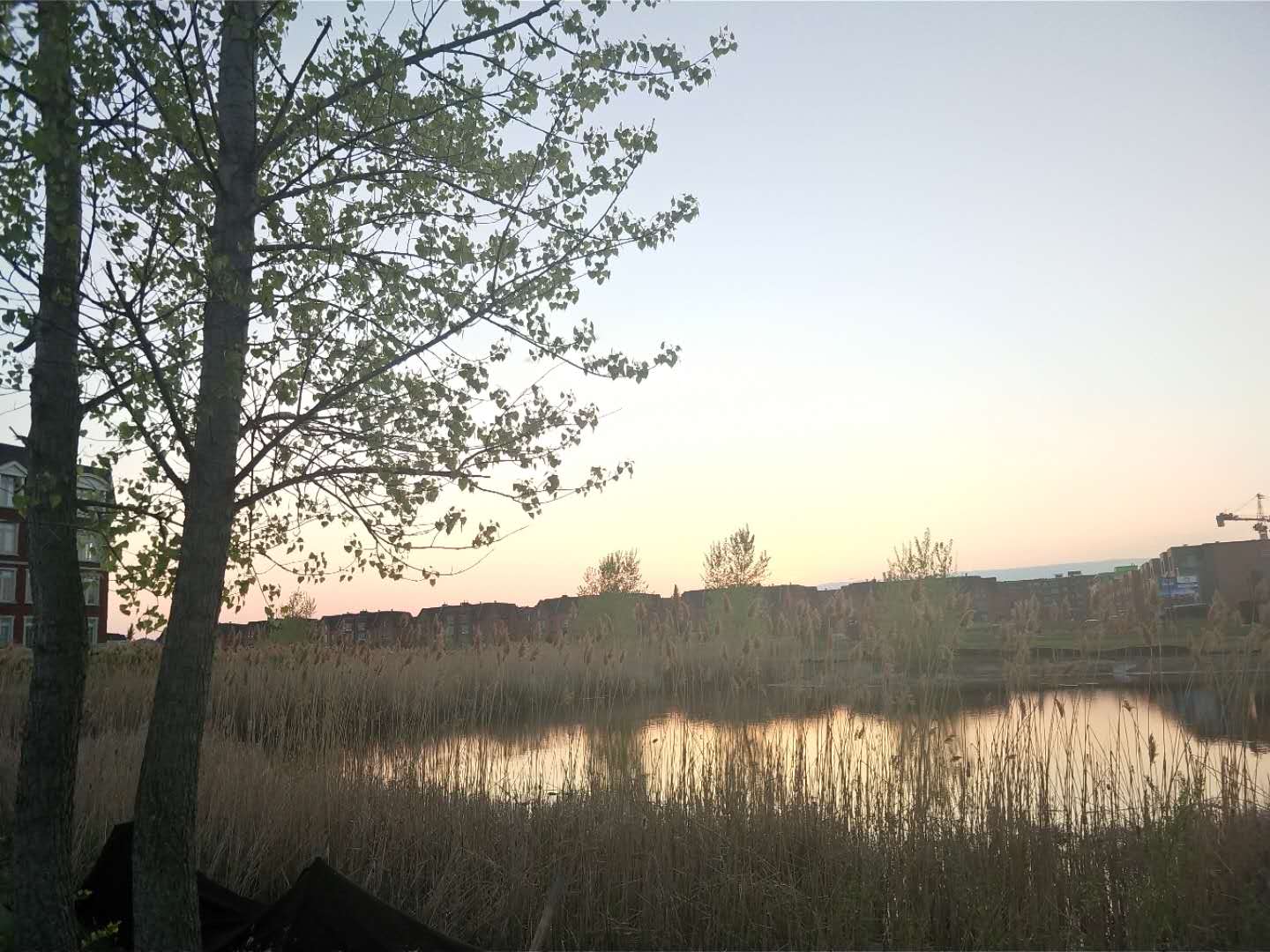 小区湖景.jpg