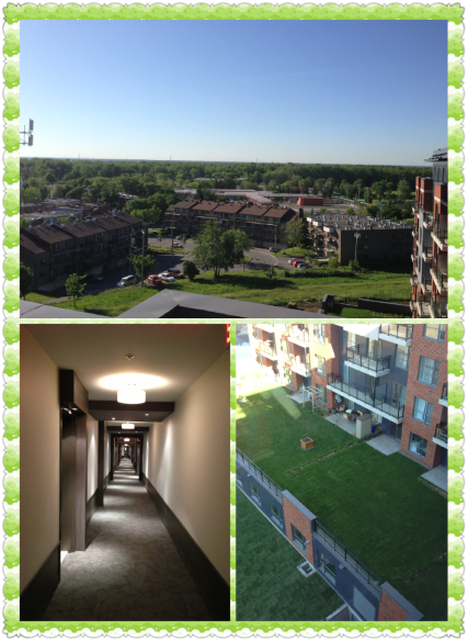 IMG_0041_1.PNG