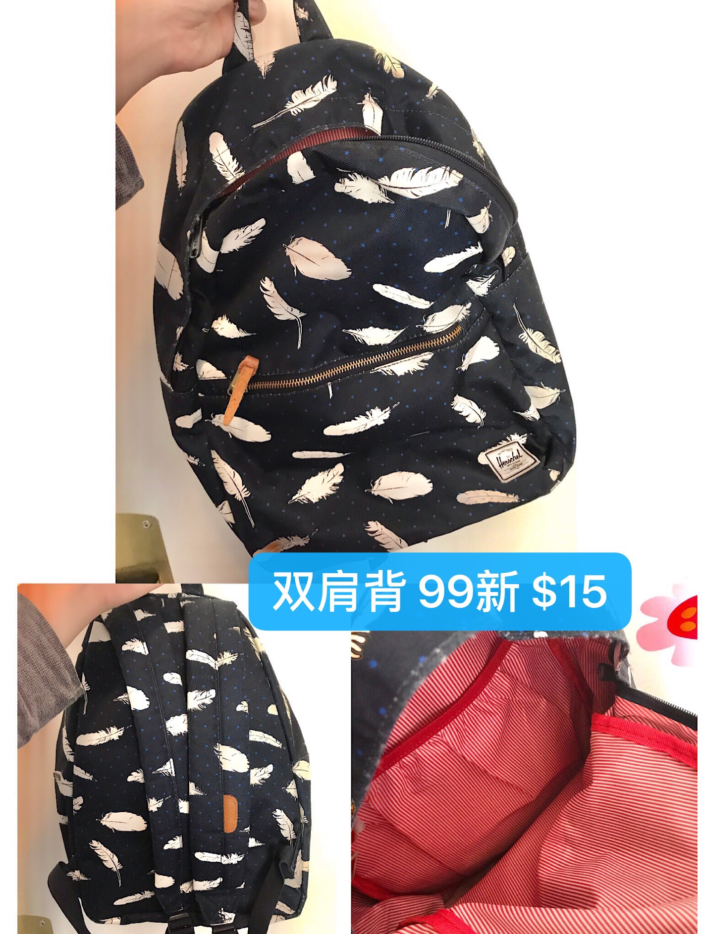 微信图片_201905082028412.jpg